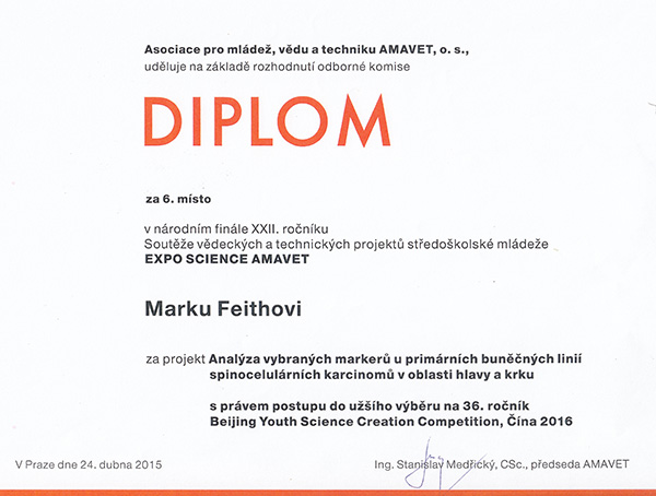 Amavet Diplom